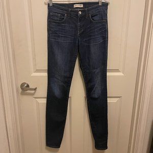 Madewell Jeans Women 28 Blue Skinny Skinny Stretch Denim Medium Wash